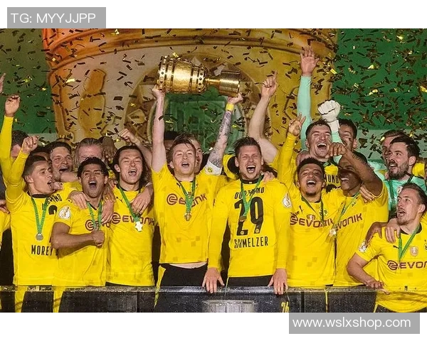 2011年德国杯决赛拜仁慕尼黑对阵多特蒙德精彩回顾与赛后分析