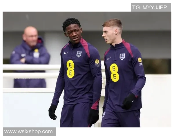 2013年英格兰与德国足球友谊赛精彩回顾与赛后分析