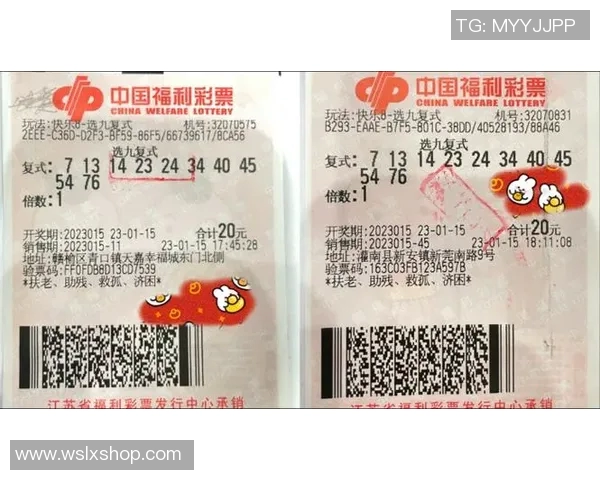 中彩网助力购彩者实现梦想，探索彩票新玩法与中奖秘籍的精彩旅程