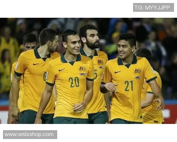 越南与阿联酋足球赛前瞻及预测结果分析，谁能赢得胜利