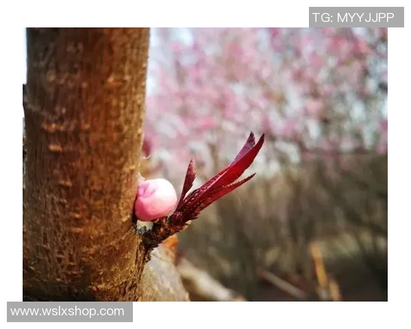 2019年4月14日山东队对阵一方队精彩赛事回顾与分析