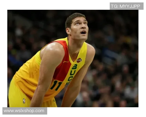 布鲁克洛佩斯：从篮坛巨星到球队支柱的传奇之路