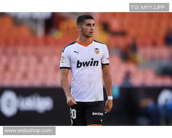 费兰托雷斯的崛起之路：从青训天才到国际赛场的闪耀明星