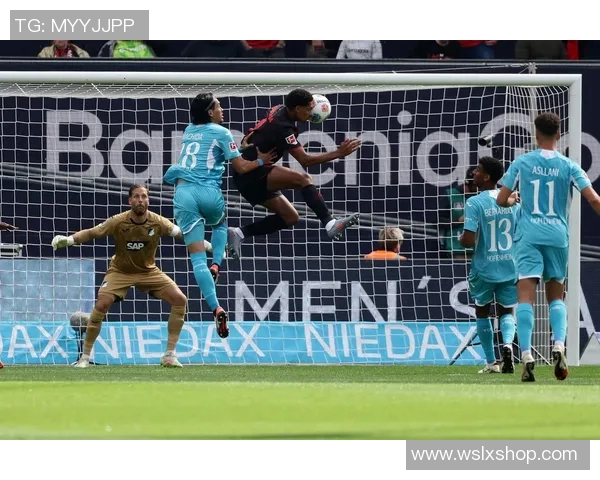 勒沃库森主场战平霍芬海姆，守住不败主场之地