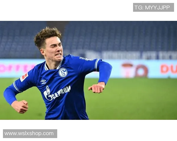 沙尔克04主场赢球，保级前景乐观