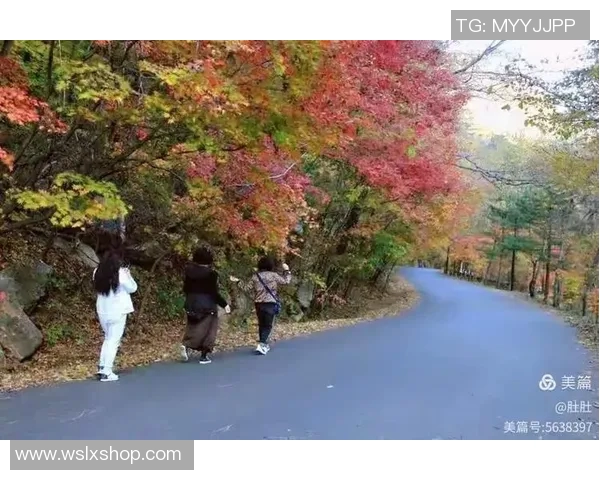 探索户外运动的必备装备清单助你畅享自然之美与极限挑战