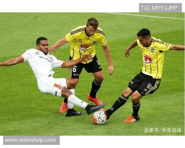 精彩对决直播墨尔本胜利对阵惠灵顿凤凰全场赛事分析与精彩瞬间回顾 精彩对决直播墨尔本胜利对阵惠灵顿凤凰全场赛事分析与精彩瞬间回顾