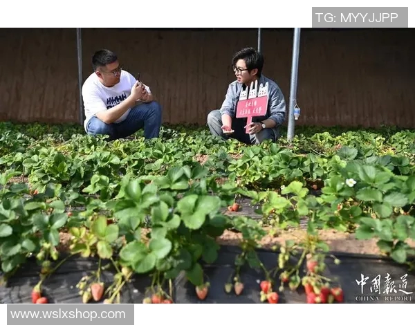 杨柑镇村超足球比赛精彩直播助力乡村体育发展与社区团结 杨柑镇村超足球比赛精彩直播助力乡村体育发展与社区团结